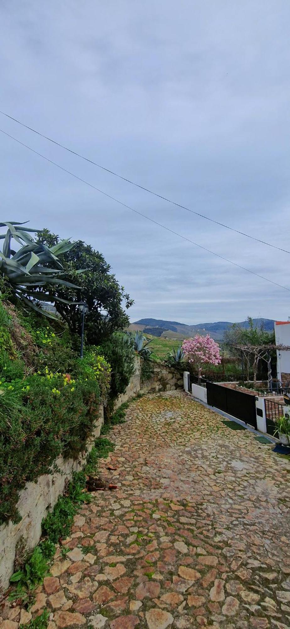 Casa Rodrigues Villa Pinhao Bagian luar foto